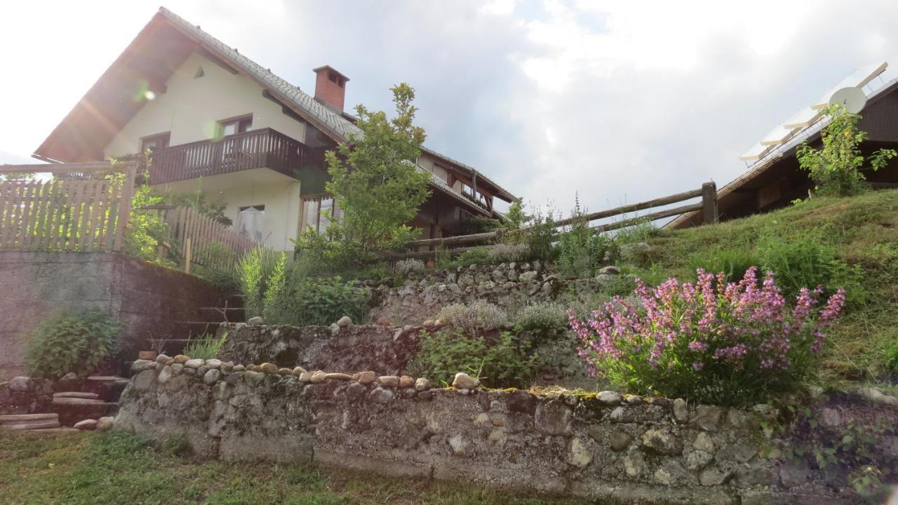 Apartma Biofit Bled Exterior foto